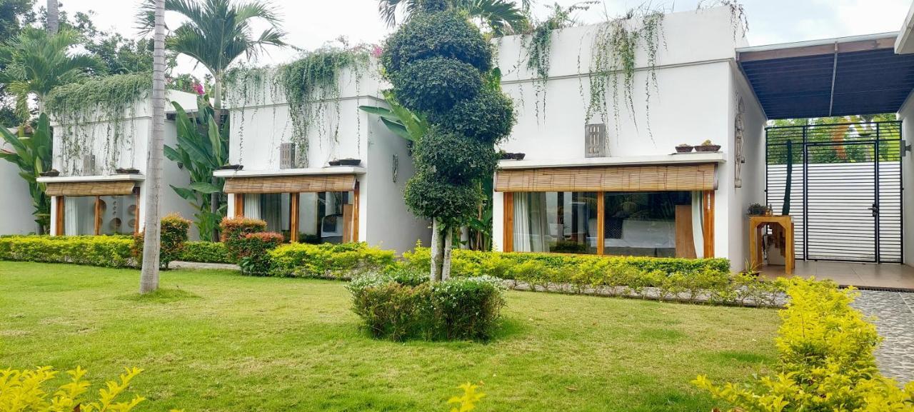 The Edicha Bed and Breakfast Lovina Εξωτερικό φωτογραφία
